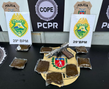 PCPR e PMPR cumprem mandados em investigação sobre plano de resgate em Piraquara