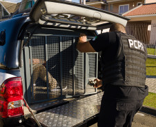 PCPR prende homem por receptação e recupera aparelho celular em Mamborê