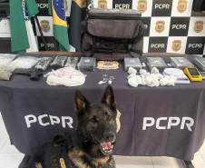 PCPR identifica envolvidos, prende mandante de duplo homicídio e apreende drogas em Matinhos