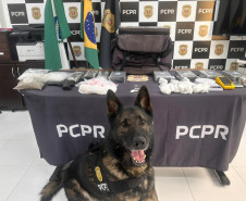 PCPR identifica envolvidos, prende mandante de duplo homicídio e apreende drogas em Matinhos