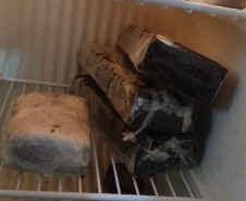 PCPR identifica envolvidos, prende mandante de duplo homicídio e apreende drogas em Matinhos