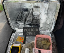 PCPR identifica envolvidos, prende mandante de duplo homicídio e apreende drogas em Matinhos