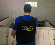 PCPR e PCIPR resgatam 50 cães em situação de maus-tratos em Piraquara