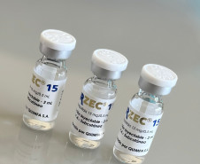 PCPR prende homem por venda de remédios emagrecedores sem procedência em Ponta Grossa