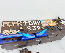 PCPR e GM prendem dois suspeitos por homicídio relacionado ao tráfico de drogas em São José dos Pinhais