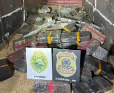 Com atuação integrada das polícias, Paraná é o estado que mais apreende drogas no Brasil