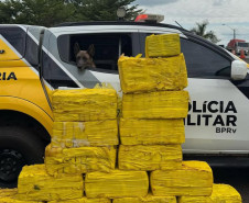 PCPR e PMPR apreendem quase 150 toneladas de drogas com apoio de cães em 2025