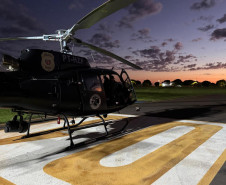 PCPR, PMPR e GOA prendem duas pessoas durante operação de furto de gado em Iretama