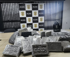 PCPR e GCM prendem homem em flagrante e apreende 30 kg de maconha modificada em Curitiba