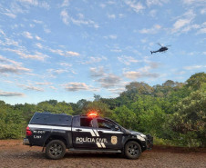 PCPR, PMPR e GOA prendem duas pessoas durante operação de furto de gado em Iretama