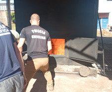PCPR incinera cerca de 220 quilos de maconha em Francisco Beltrão 