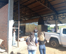 PCPR incinera cerca de 220 quilos de maconha em Francisco Beltrão 