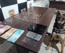 PCPR desarticula esquema de tráfico e prende quatro pessoas em flagrante em Guaratuba 