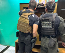 PCPR prende 28 pessoas em operação contra grupo suspeito por esquema de tráfico interestadual