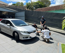 PCPR identifica motorista e apreende carro que atropelou cadela em Ivaiporã