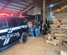 PCPR incinera cerca de uma tonelada de entorpecentes em Dois Vizinhos