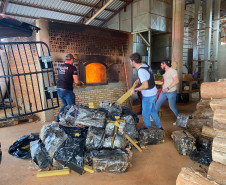 PCPR incinera cerca de uma tonelada de entorpecentes em Dois Vizinhos