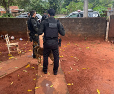 PCPR e PMPR prendem homem e cumprem mandados de busca durante operação em Nova Londrina