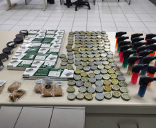 PCPR e forças de segurança deflagram operação de fiscalização no bairro Alto Boqueirão em Curitiba