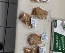 PCPR e forças de segurança deflagram operação de fiscalização no bairro Alto Boqueirão em Curitiba