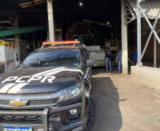 PCPR incinera mais de 7,4 toneladas de drogas em Matelândia 