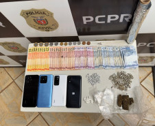 PCPR e PMPR prendem casal e apreendem drogas e aves silvestres em Pérola 