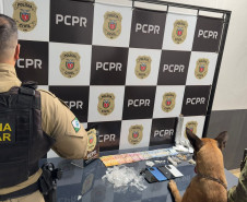 PCPR e PMPR prendem casal e apreendem drogas e aves silvestres em Pérola 