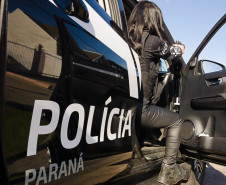 PCPR, PMPR e GCM realizam operação contra o tráfico de drogas em Teixeira Soares