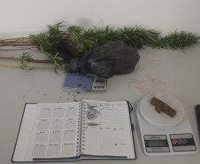 PCPR prende homem em flagrante por tráfico de drogas em Campo Magro 