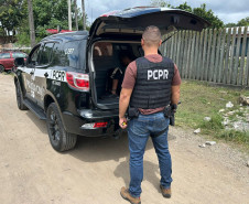 PCPR prende duas pessoas por tráfico de drogas em Piraquara
