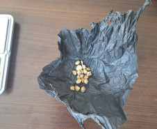 PCPR prende duas pessoas por tráfico de drogas em Piraquara