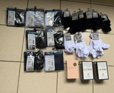 PCPR prende dois homens durante operação em União da Vitória, Rebouças e Quatro Barras