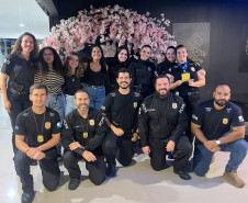PCPR promove aulão gratuita de defesa pessoal em homenagem ao mês da mulher em Araucária