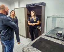 Delegacia cidadã Maringá