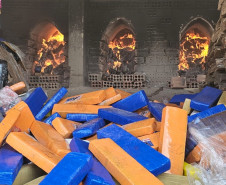 PCPR incinera aproximadamente três toneladas de drogas em São José dos Pinhais