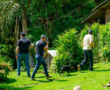 PCPR prende homem em flagrante por tráfico de drogas, maus-tratos a animal e outros delitos em Quatro Barras