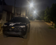 PCPR apreende arma de pressão e projéteis durante investigação de maus-tratos a animais em Cornélio Procópio