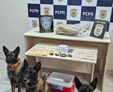PCPR, PMPR e GCM prendem três pessoas durante operação contra o tráfico de drogas em Ponta Grossa