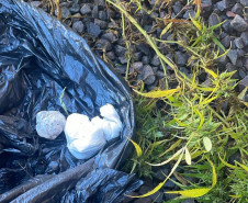 PCPR, PMPR e PCSC prendem três pessoas em investigação por tentativa de homicídio e disparos de arma de fogo em Pato Branco