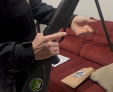 PCPR apreende arma de pressão e projéteis durante investigação de maus-tratos a animais em Cornélio Procópio