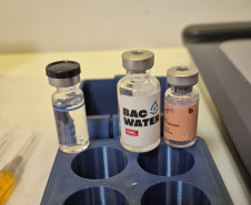 PCPR prende homem por comercializar medicamentos irregulares e produtos impróprios para consumo em Curitiba