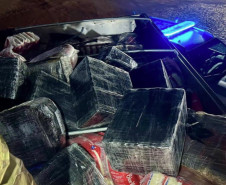PCPR e PRF apreendem 372 quilos de entorpecentes e prendem homem em Cascavel