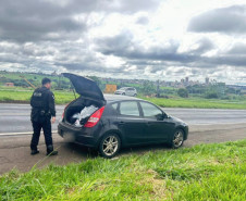PCPR prende homem e apreende 140 cigarros eletrônicos e anabolizantes em Cambé