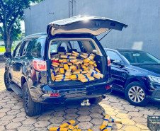 Em maior apreensão do ano, PCPR localiza 4,1 toneladas de maconha em Foz do Iguaçu