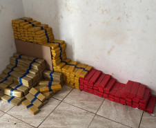 Em maior apreensão do ano, PCPR localiza 4,1 toneladas de maconha em Foz do Iguaçu