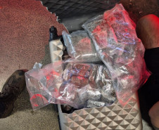 PCPR prende homem que transportava drogas em ônibus interestadual em Londrina