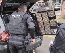 PCPR prende três homens em operação contra abuso sexual e armazenamento de pornografia infantil em Curitiba