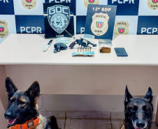 PCPR e GCM prendem homem e fecham ponto de tráfico de drogas em Ponta Grossa