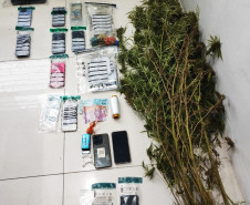 PCPR, PMPR e GCM prendem cinco pessoas e apreendem 11kg de entorpecentes em Rebouças