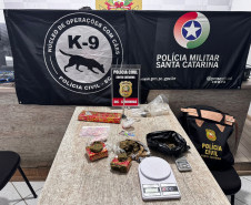 PCPR e PCSC prendem dois homens por tráfico de drogas no Paraná e em Santa Catarina